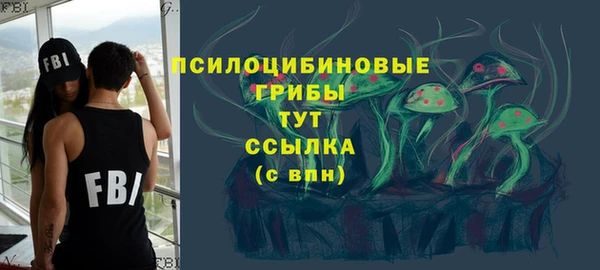 прущие грибы Алзамай