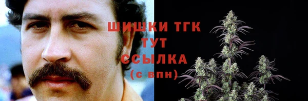 прущие грибы Алзамай