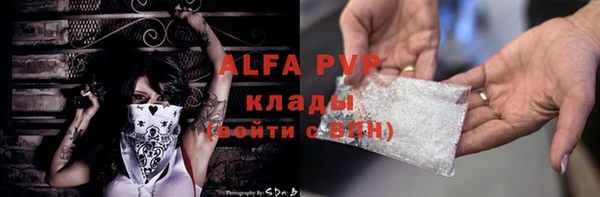 прущие грибы Алзамай