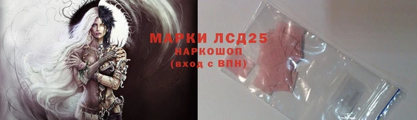 прущие грибы Алзамай