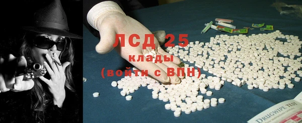 прущие грибы Алзамай