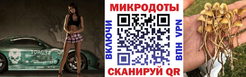 где продают   Куйбышев  Галлюциногенные грибы Psilocybine cubensis 